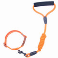 Pet Leash and Collar Set for Dogs