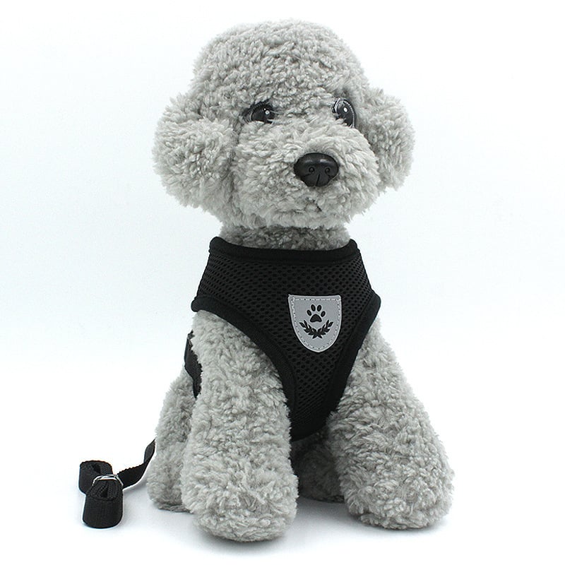 Reflective Vest and Leash for Small Dogs