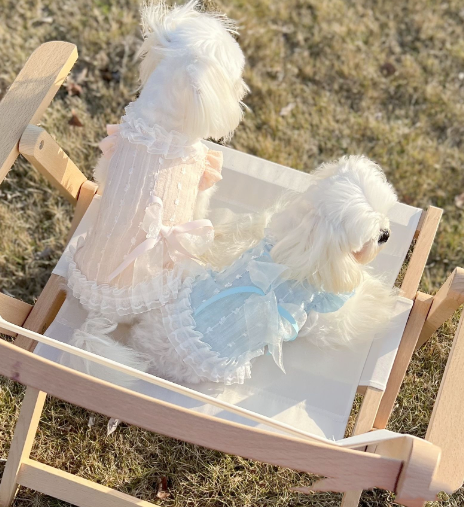 Chiffon Lace Bow Dress for Princess Pets