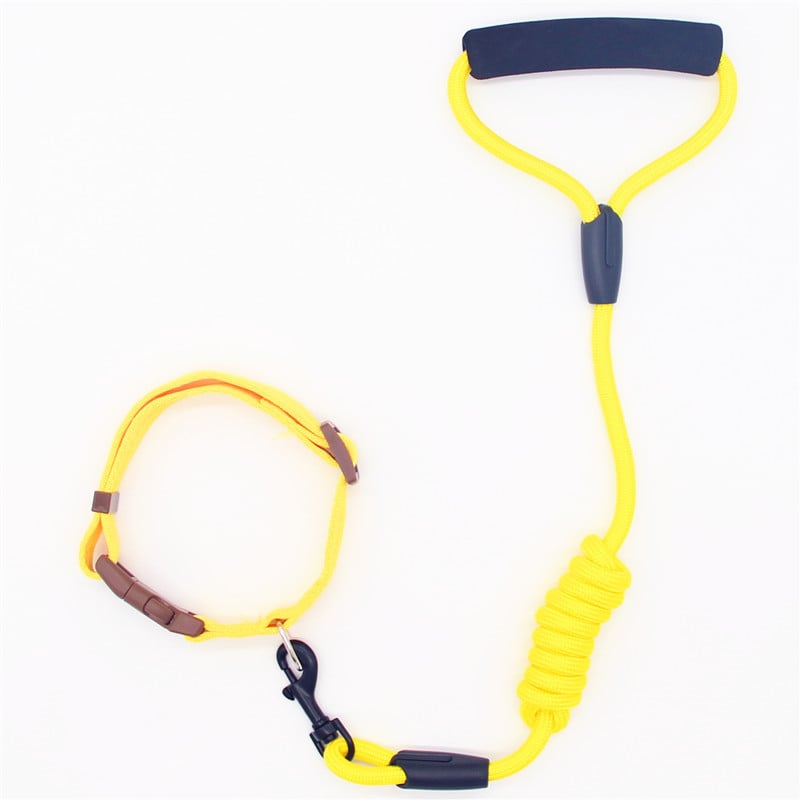 Pet Leash and Collar Set for Dogs